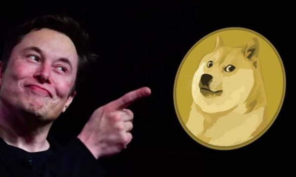 Илон Маск: я не продавал и не буду продавать DOGE