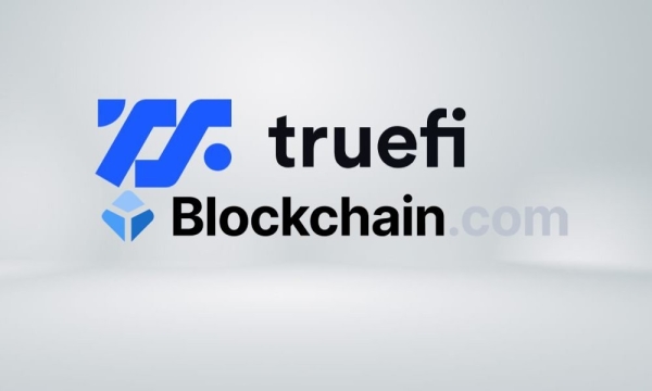 TrueFi открыла пул одного заемщика на $100 млн для Blockchain.com