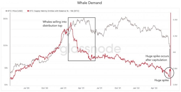 Цена BTC превышает 10-дневные максимумы, так как биткоин-киты активизировались