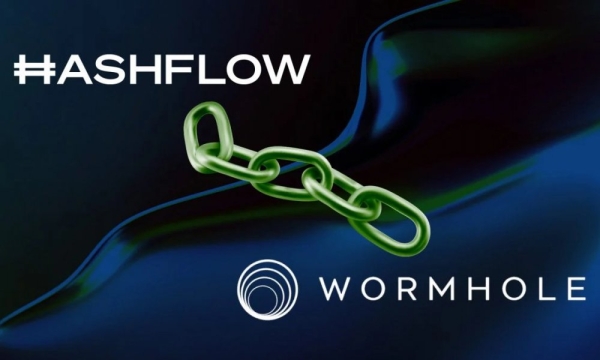Hashflow сотрудничает с Wormhole для более дешевых межсетевых свопов