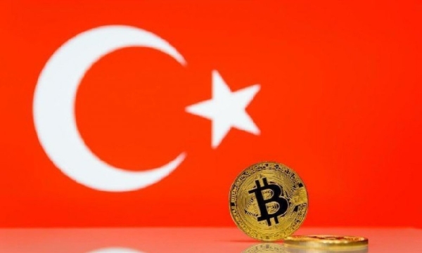 Турецкое правительство обвиняется в использовании биткойнов для финансирования фейковой пропаганды