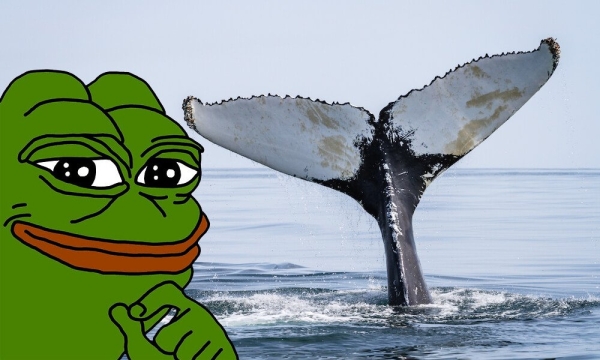 Внезапное падение Pepe оставляет кита в минусе на 500 тысяч