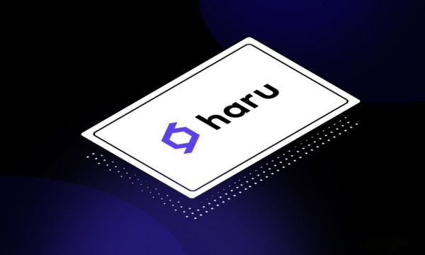 Корейская доходная платформа Haru Invest приостанавливает переводы после расследования