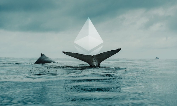 Ethereum-кит сбросил ETH на $41 млн за несколько дней до обвала рынка