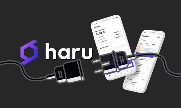 Криптовалютная платформа Haru Invest приостановит работу сервера