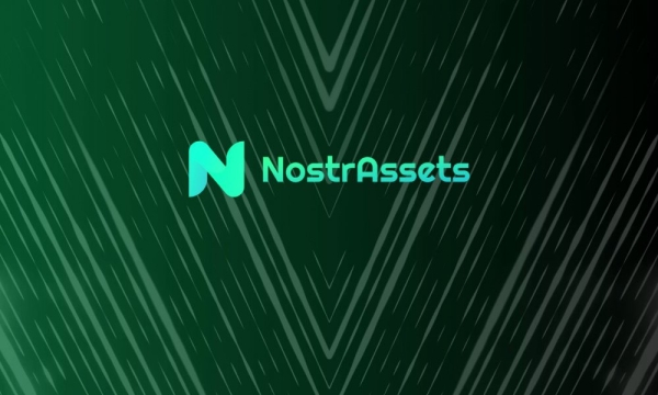 Хранитель биткоинов Nostr Assets достиг «максимальной емкости»
