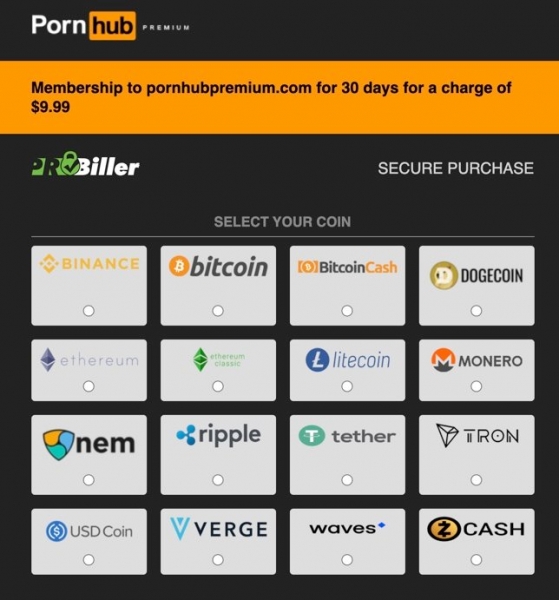 Pornhub добавил BNB и другие криптовалюты в качестве платежных инструментов