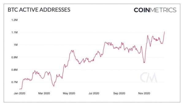 Число активных биткоин-адресов удвоилось в 2020 году
