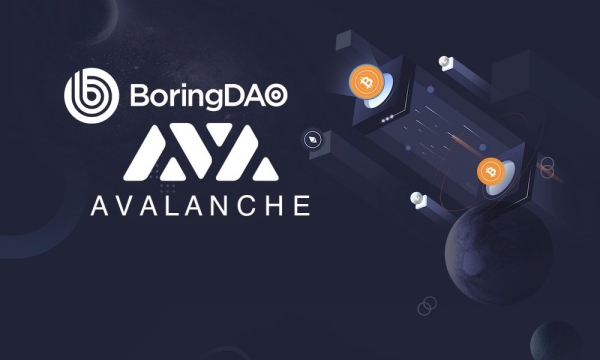 BoringDAO и Avalanche создадут мультичейновый мост активов