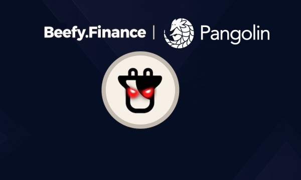 Beefy Finance на Avalanche Network открыла 6 пулов ликвидности для Pangolin PNG