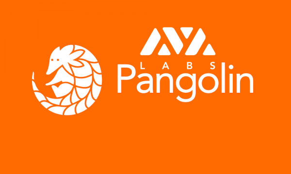 Avalanche анонсировал запуск Pangolin DEX
