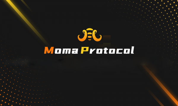 Moma Protocol привлек 2,25 миллиона долларов для улучшения сегмента кредитования DeFi